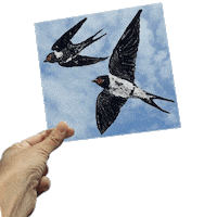 Flying Sunny Day Sticker by Eleana Chrysanthou