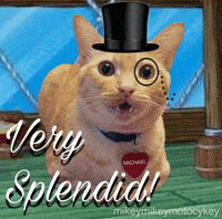 Funny Cat GIF