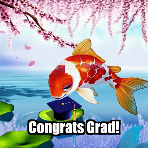 Koi Fish Graduation GIF by TheConfishius