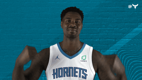 North Carolina Sport GIF by Charlotte Hornets