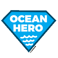 World Ocean Sticker by Experienceis