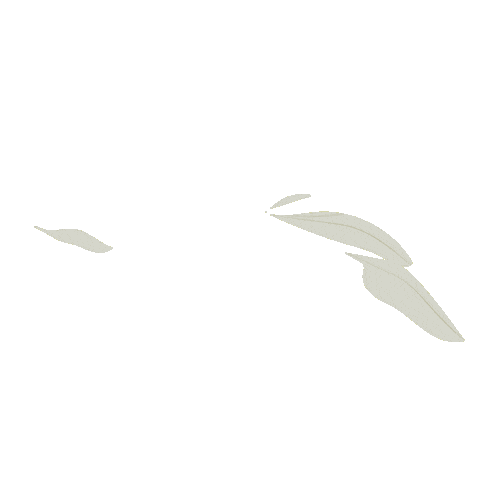 shiannein giphyupload leaf leaves floral Sticker