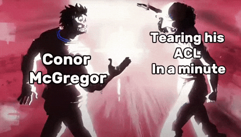 One Piece Ufc GIF