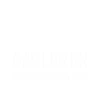 Cauldron Sticker by Dragon Dive Komodo