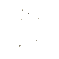 Stars Sparkle Sticker by Casa Luz Inc