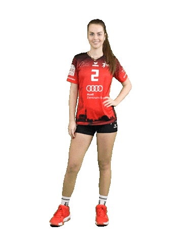 Volleyball Svf Sticker by Rotes Rudel