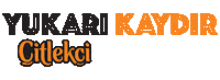 citlekci swipe up swipeup yukarı kaydır yukarıkaydır Sticker