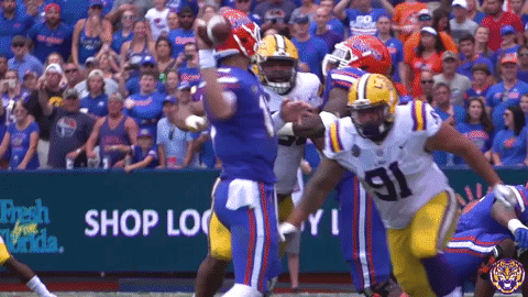 College Sports Sport GIF by LSU Tigers