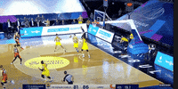 basketfem womens basketball fenerbahce fiba basketfem GIF