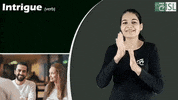 Sign Language Intrigue GIF by ISL Connect