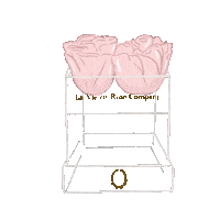 La Vie En Rose Flowers Sticker by LaVieEnRoseOfficial