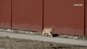 rockaway beach GIF by F*CK, THAT'S DELICIOUS