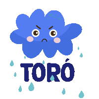 Amazon Rain Sticker by Rede Amazônica
