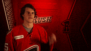 Lets Go Fist Bump GIF by Rapid City Rush