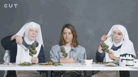 gunpowdersky giphyupload weed nuns tlh GIF