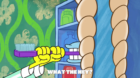 season 9 gary's new toy GIF by SpongeBob SquarePants