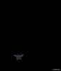 free spirit animation GIF by Will Kim