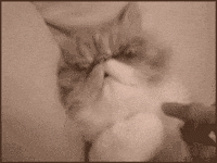 sleepyhead GIF