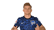 Swipe Up Maximilian Mittelstädt Sticker by Hertha BSC