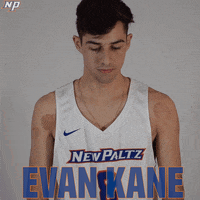 Volleyball Uvc GIF by SUNY New Paltz