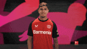 Bayer Leverkusen GIF by Bundesliga