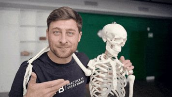 Yoga Stretching GIF by YOGABODY