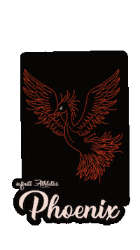 Fire Phoenix Sticker by iNFiNiTi  Athletics