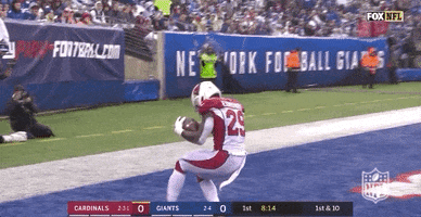 Regular Season Football GIF by NFL