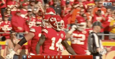2018 Nfl Football GIF by NFL