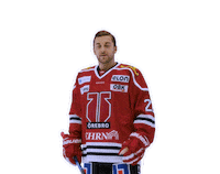 Jonathan Andersson Goal Sticker by Örebro Hockey
