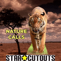 Nature Calls Tiger GIF by STARCUTOUTSUK
