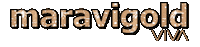 Gold Celebrate Sticker by VIVA EVENTOS