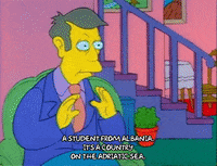 Season 1 GIF by The Simpsons