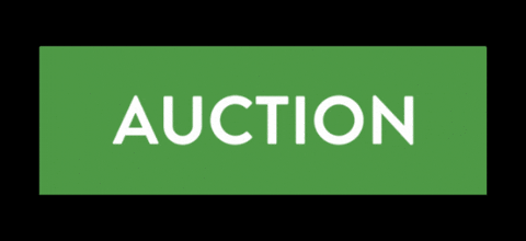 Auction Bhgre GIF by Better Homes and Gardens Real Estate Australia