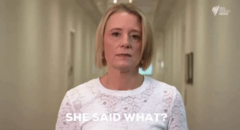 aydendawkins kk auspol kristinakeneally GIF