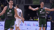 Vamos Baloncesto Malaga GIF by Unicaja Baloncesto