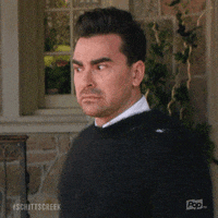 Pop Tv GIF by Schitt's Creek