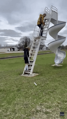 Dog Shows Impressive Head for Heights With Leap Off Slide