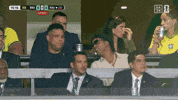 Watching World Cup GIF by DAZN
