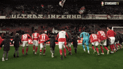 GIF by Standard de Liège