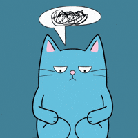Sad Cat GIF