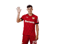 Bayer 04 Hello Sticker by Bayer 04 Leverkusen