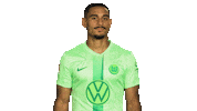 France No Sticker by VfL Wolfsburg