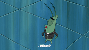 season 9 episode 25 GIF by SpongeBob SquarePants