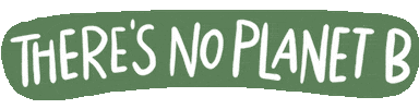 No Planet B World Sticker