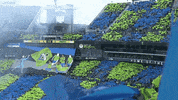 Mls Cup Fans GIF by Major League Soccer
