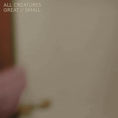 allcreaturestv animals morning eyes tired GIF