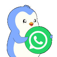 Text Me Social Media Sticker by Pudgy Penguins