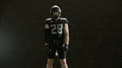 Oregon Football GIF by GoDucks