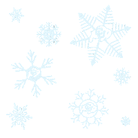 University Of Colorado Boulder Snowflakes Sticker by CUBoulder